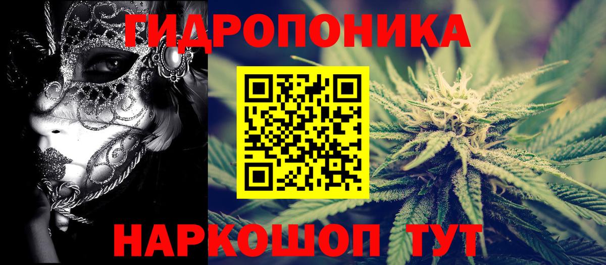 Бошки Шишки VHQ  Вход с VPN  Россия  Марихуана тримм  Шишки марихуана VHQ  Канабис White Widow 